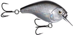13 Fishing Scamp 1.5/2.5 Squarebill Crankbait -Fishing Products Store flipDisco shad