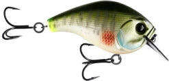 13 Fishing Scamp 1.5/2.5 Squarebill Crankbait -Fishing Products Store flipDream Gill