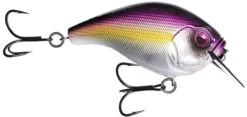 13 Fishing Scamp 1.5/2.5 Squarebill Crankbait -Fishing Products Store flipPurple Nurple
