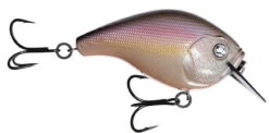 13 Fishing Scamp 1.5/2.5 Squarebill Crankbait -Fishing Products Store flipRegurgitated Shad