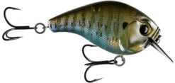 13 Fishing Scamp 1.5/2.5 Squarebill Crankbait -Fishing Products Store flipRusty Bream