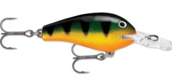 Rapala Fat Rap 05 Deep Diving Crankbait -Fishing Products Store fr05p