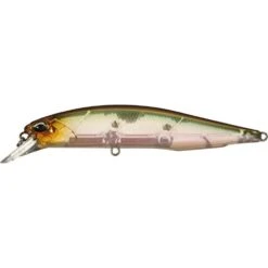 Duo Realis Jerkbait 100SP Suspending -Fishing Products Store ghost minnow 27c6426f 1880 4fd8 bd48 44d6ed15bf0b