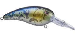 SPRO Mike McClelland RkCrawler 50 Medium Diving Crankbait -Fishing Products Store goby