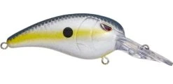 SPRO Mike McClelland RkCrawler 50 Medium Diving Crankbait -Fishing Products Store nasty shad e0f5b9bf 3078 4f20 ad2c 610ccbec7fea