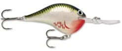 Rapala DT Series Crankbait DT14 -Fishing Products Store rapala dt10 bleeding olive shiner 070d001b e721 4ee2 9f5c ce93a9d12d56