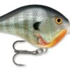Rapala DT Series Crankbait DT14 -Fishing Products Store rapala dt10 bluegill 98c0ebc5 e23f 49ee 9c06 51cbf38bd703