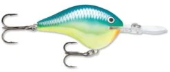 Rapala DT Series Crankbait DT14 -Fishing Products Store rapala dt10 caribbean shad 257fc072 197c 4274 86ed 0ef950c63cc0