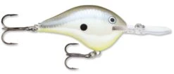 Rapala DT Series Crankbait DT14 -Fishing Products Store rapala dt10 disco shad f51a7126 74c3 492b 9cd5 31ab8f430d8a