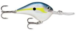 Rapala DT Series Crankbait DT14 -Fishing Products Store rapala dt10 helsinki shad a427dadf dc8f 4519 b6fd 0cc072acee6a