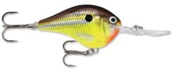 Rapala DT Series Crankbait DT14 -Fishing Products Store rapala dt10 hot mustard 02f0ad77 dcc4 488f 98e0 686fa6c67e93