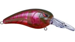 SPRO Mike McClelland RkCrawler 50 Medium Diving Crankbait -Fishing Products Store red river craw