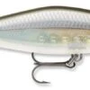 Rapala Shadow Rap Shad Deep 09 Jerkbait 1 Rapala Shadow Rap Shad Deep 09 Jerkbait -Fishing Products Store sdrsd09ghsh Ghost Shiner 52772480 e43d 4f6a 8453 9d72d714b76b