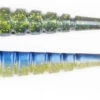 Xzone Pro Series Swammer Paddle Tail Swimbait -Fishing Products Store sexy 20shad 749a8da2 67b7 4da6 bc1f 46a86768b826