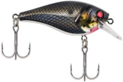 Berkley SquareBull 2 3/8 Inch Shallow Squarebill Crankbait -Fishing Products Store squarebull black silver a43ada4f f3fc 4f83 abd8 116ee7b133b0