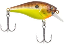 Berkley SquareBull 2 3/8 Inch Shallow Squarebill Crankbait -Fishing Products Store squarebull brown mustard 81da5849 8ea2 4f4e b46f 0980ead1b2b1