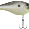 Berkley SquareBull 2 3/8 Inch Shallow Squarebill Crankbait -Fishing Products Store squarebull chameleon pearl edde6e06 c7d7 4ce1 91dd 058d9e3eaac2
