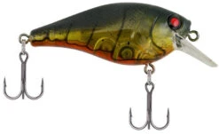 Berkley SquareBull 2 3/8 Inch Shallow Squarebill Crankbait -Fishing Products Store squarebull ghost green craw 7a49b040 87a0 4d26 8f46 2e82eb5320a7