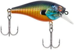 Berkley SquareBull 2 3/8 Inch Shallow Squarebill Crankbait -Fishing Products Store squarebull gilly 9823b24f 821b 42a2 bbbb 0c93e43286eb
