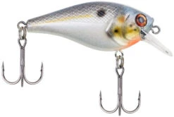 Berkley SquareBull 2 3/8 Inch Shallow Squarebill Crankbait -Fishing Products Store squarebull sexier shad 1d609b07 b72e 43cb ae5f 8f3b1f1c079e