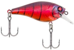Berkley SquareBull 2 3/8 Inch Shallow Squarebill Crankbait -Fishing Products Store squarebull special red craw a3eeef37 c990 4d30 a2a4 9203d3981ecd