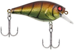 Berkley SquareBull 2 3/8 Inch Shallow Squarebill Crankbait -Fishing Products Store squarebull vintage craw 80989045 ac81 41fe b62e aacb608a8003