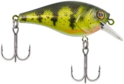 Berkley SquareBull 2 3/8 Inch Shallow Squarebill Crankbait -Fishing Products Store squarebull yellow perch 08cc63df 2824 4d70 8487 3e7beebcaa15