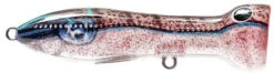 Nomad Design Chug Norris Freshwater/Inshore Popper -Fishing Products Store squid surprise