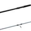 Daiwa Team Daiwa Spinning Surf Rods -Fishing Products Store teamdaiwasurf.JPG a0dddbb9 5def 4405 916c beed396e121f