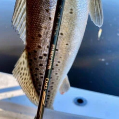 Temple Fork Outfitters Trout-Panfish Spinning Rods 26 Temple Fork Outfitters Trout-Panfish Spinning Rods -Fishing Products Store tfo trout panfish spots