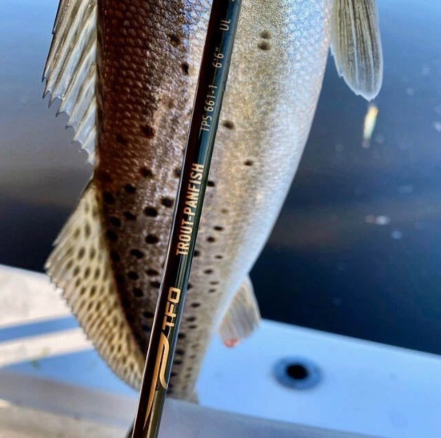 Temple Fork Outfitters Trout-Panfish Spinning Rods 14 Temple Fork Outfitters Trout-Panfish Spinning Rods - Image 12