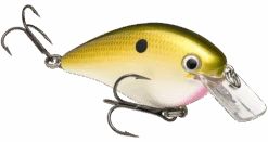 Strike King KVD Magnum Square Bill 8.0 Silent Crankbaits -Fishing Products Store tn shad