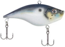 Berkley Warpig Lipless Crankbait -Fishing Products Store warpig blue back