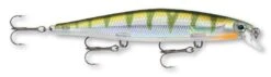 Rapala Shadow Rap 11 Jerkbait 39 Rapala Shadow Rap 11 Jerkbait -Fishing Products Store yellow 2Bperch 74e67594 8ed3 480e ae06 261f3d002b8b