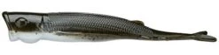 Z-Man Pop ShadZ 4 Inch Soft Plastic Popper 3 Pack 13 Z-Man Pop ShadZ 4 Inch Soft Plastic Popper 3 Pack -Fishing Products Store z man pop shadz mud minnow df09696b 18f9 409a 90f1 b83a3d205f58